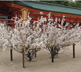 The Heian Shrine wishing tree covered in white paper notes